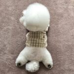 Korea Plaid Khaki Blue Pocket Pajamas For Dogs - Image 6