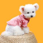 Spring And Summer Pet Pajamas - Image 3