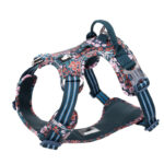 The New Dog Leash Vest Type Walking Chain - Image 5