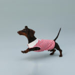 Dog Vest Sleeveless Red Striped Small Dog Schnauzer Sausage - Image 4