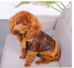 Punk Leather Sweater Dog Autumn And Winter Clothes - Image 4