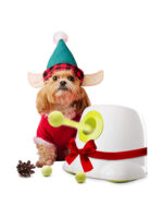 AFP Automatic Electric Tennis Machine 3196 Mini Tennis Pet Lightweight Throwing Machine Launcher - Image 3