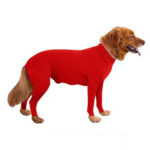Pet Dog Jumpsuit Medium Large Dog Pajamas Anxiety - Image 3