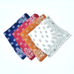 Women's Paisley 70cm Professional Scarf - Image 2