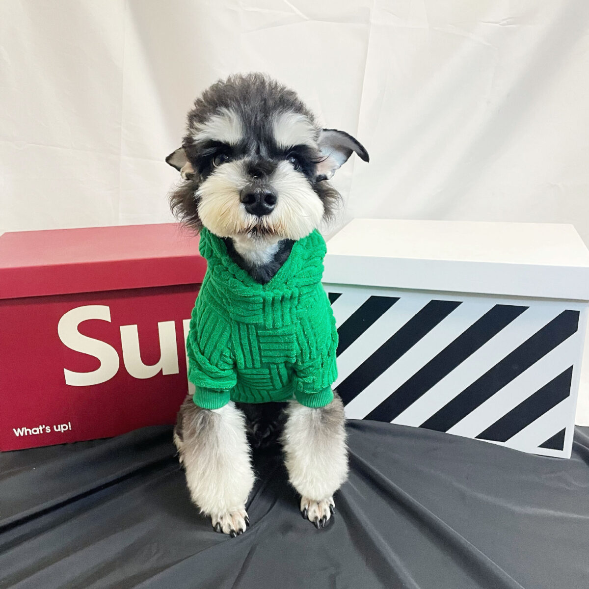 Pet Clothes Green Terry Sweater Hoodie Fashion - Image 5