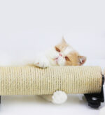 Wear-resistant Sisal Cat Scratching Post - Image 3