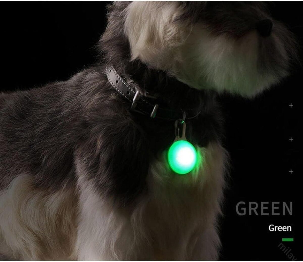 LED Luminous Pet Round Pendant Luminous Dog Tag Pet Charm Dog Flashing Tag Dog Collar Light, Suitable For Pets To Walk At Night - Image 7