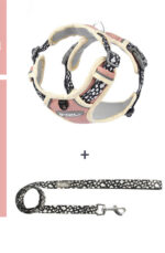 The Dog's Chest Strap Goes Out And Walks Leash - Image 5