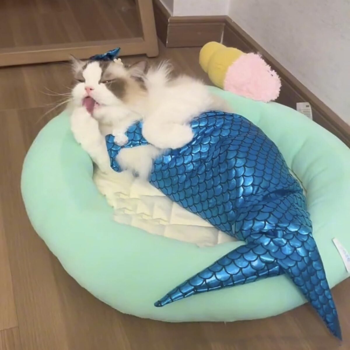 Cat Mermaid Costume Creative Cat And Dog Costumes Funny Cat Mermaid Costume Cat Mermaid Fishtail Dress Puppy Mermaid Fishtail Dress Pet Mermaid Costume Humor Funny Photo Props - Image 4