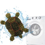 Tortoise Pet Sniffing Pad Decompression Consumes Energy Dog Toy - Image 2