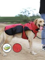 Medium And Large Dog Plush Warm Pet Diving Suit - Image 4