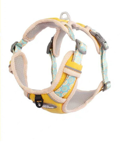 The Dog's Chest Strap Is Out For Walking The Dog