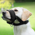 Dog Mouth Muzzle Anti Bark Dog Collar Breathable Dog Training Tool Nylon Muzzle Set With Stripes Summer Pet Leashes - Image 6