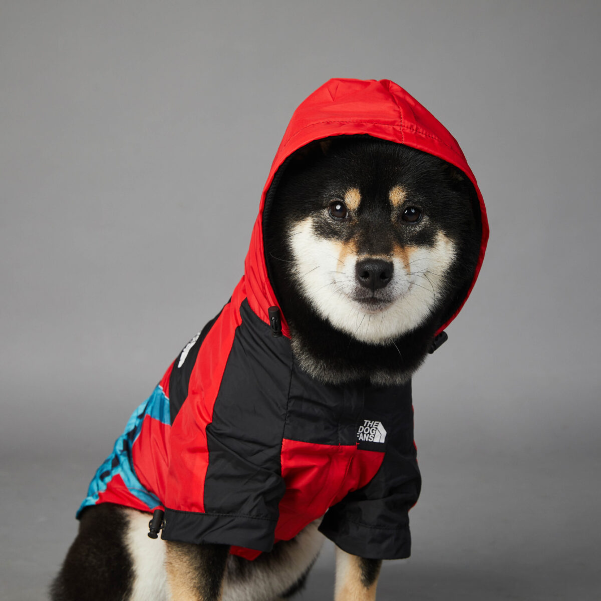 Windproof And Rainproof Dog Pet Shell Jacket - Image 3