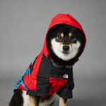 Windproof And Rainproof Dog Pet Shell Jacket - Image 3