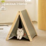 Pet Cat Tent Supplies Are Available All Year Round - Image 6