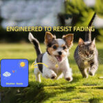 Gold Cat Chain Collar With Bell Lightweight Metal Necklace For Long Lasting Wear, Adjustable Jewelry For Cats And Dogs - Image 6