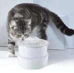 Foldable Pet Drinking Fountain Luminous Automatic Drinking Fountain - Image 4
