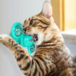 New Windmill Cat Toys Cute Rotating Interactive Cat Toy - Indoor Windmill Cat Toy With Suction Cup Catnip & Jagged Teeth Middle Ball, Smart Kitten Rotating Spinner Exercise Toy, Toothbrush & Massager - Image 4