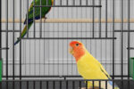 Home Fashion Personality Double Layer New Bird Cage - Image 6