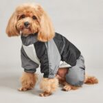 Pet Winter Color Matching Cotton-padded Clothes Dog Medium Large Dog Warm And Comfortable - Image 3