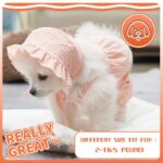 Dog Clothes Set Orange Pet Jumpsuit With Hat Fashionable Outfit For Puppy Summer Outdoor Clothing Pet Cat Yorkies Chihuahua - Image 3