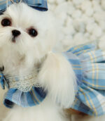 Small Body Blue JK Plaid College Style Cute Suspender Skirt - Image 4