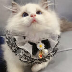 Black Little Fairy Pet Slobber Lace Scarf - Image 2