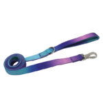 Gradient Collar Widened Pet Accessories Avoid Cutting Into The Neck - Image 8