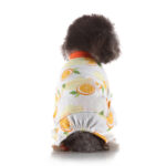 Pet Clothes Autumn And Winter At Home - Image 2