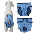 Fashion Simple Pet Velcro Menstrual Panties - Image 10