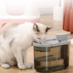 Automatic Drinking Bowl For Cats And Pets - Image 2