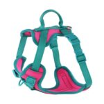 Dog Breast Strap Hand Holding Rope Dog Leash Collar Chest Back - Image 7