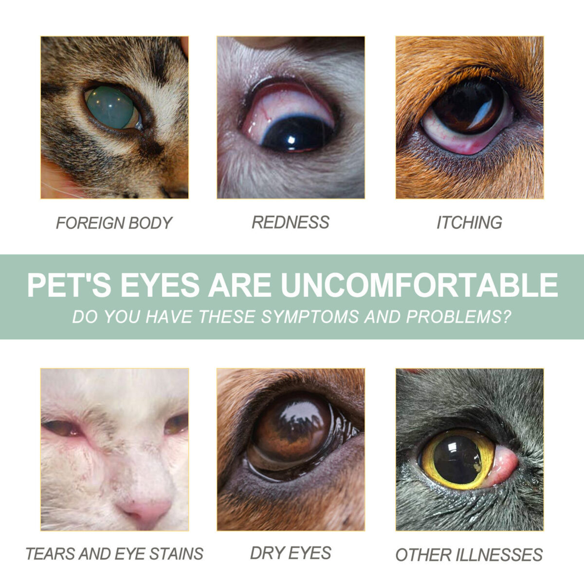 Dogs And Cats Eye Care Eye Drops - Image 3