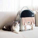 Portable And Foldable Large-capacity Cat And Dog Backpack - Image 5