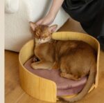 Cathouse Doghouse Removable Solid Wood Cat Bed - Image 8
