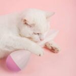 Pet Cat Toy Tumbler Tease Cat Ball Bite-resistant Tease Stick Feather Self-healing - Image 6