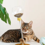 Cat Leaking Ball, Swinging Toy Ball, Leaking Device, Educational Toys, Pet Self-Hey - Image 3