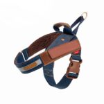 PetReflective Dog Chest Strap At Night - Image 6