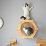 Solid Wood Scratching Post Cat Drilling Hole Luxury Cat Tree Toy