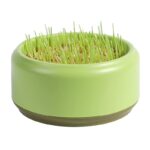Potted Seeds Soilless Hydroponic Cat Grass - Image 4