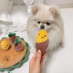 Sweet Potato Set Pet Toys - Image 2