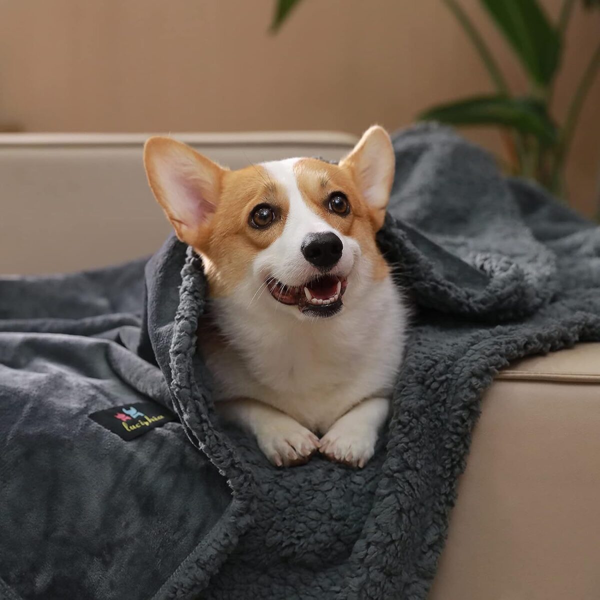 Pet Lamb Wool Warm Blanket - Image 7