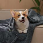 Pet Lamb Wool Warm Blanket - Image 7