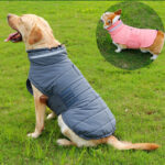 Pet Coat Cold-Proof Warm Rain-Proof Clothe Big Dog Clothing Corgi Clothes Dog Trench - Image 2