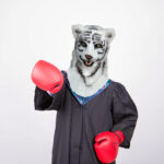 Cosplay Shooting Props Plush Animal Headgear - Image 4