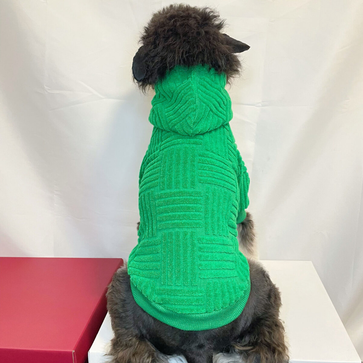 Pet Clothes Green Terry Sweater Hoodie Fashion - Image 4