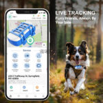 Pet Positioning Tracker Waterproof Real-time Positioning