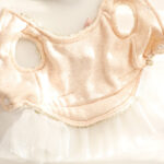 Lace Dress Clothes For Small Dogs - Image 2