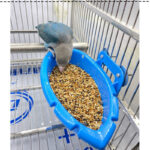 Multifunctional Feeder Bird Bathtub - Image 8